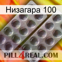 Низагара 100 31